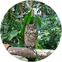 ちなっち ちなっち