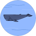 はたのあやか はたのあやか